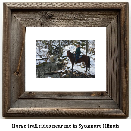 horse trail rides near me in Sycamore, Illinois